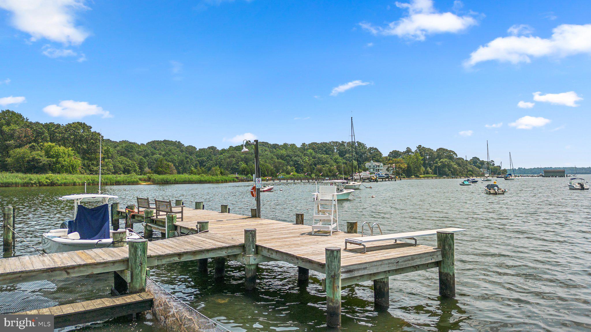 OLDE SEVERNA PARK - Residential