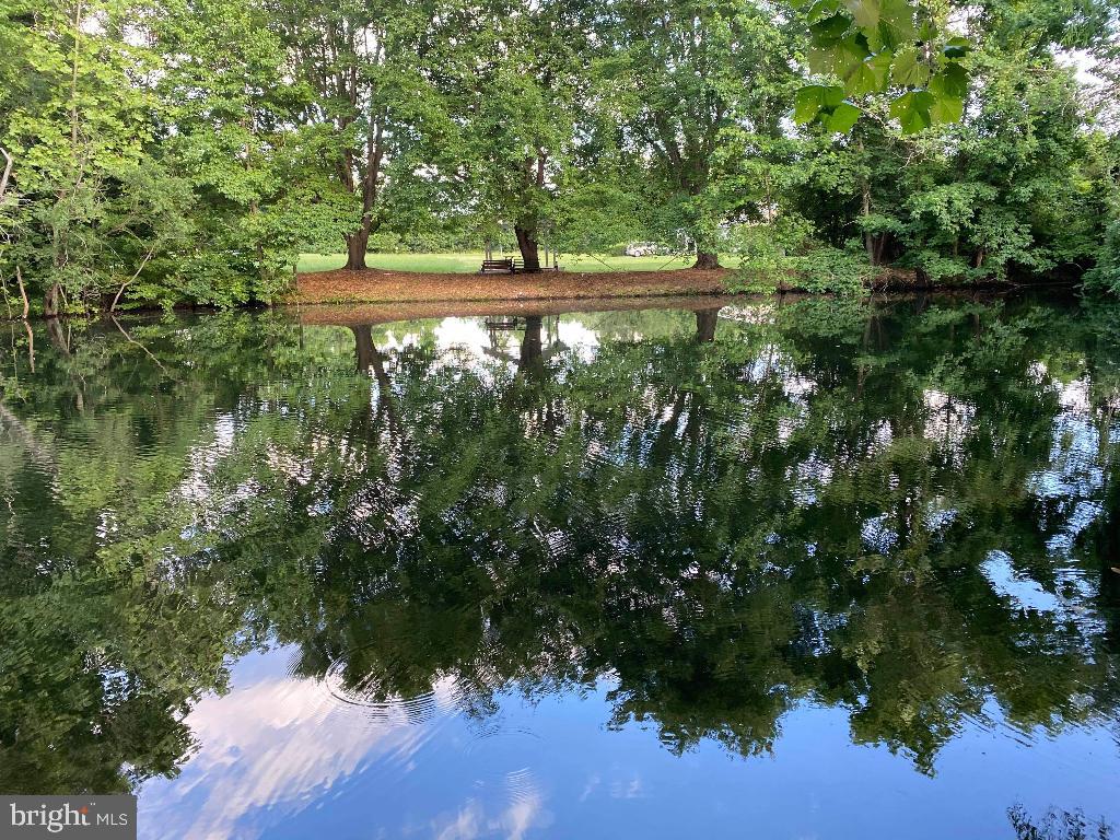 ISLAND CREEK WOODS - Residential