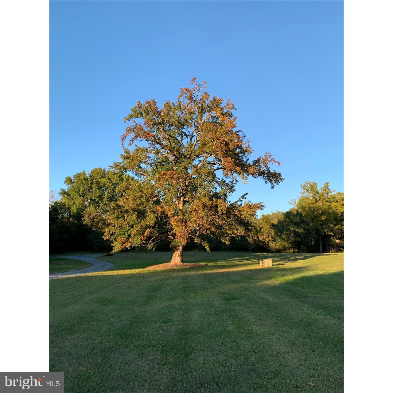 ISLAND CREEK WOODS - Residential