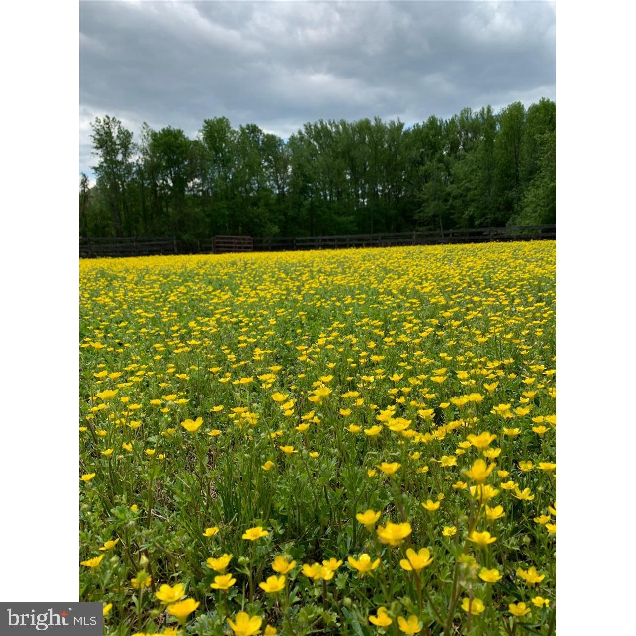 ISLAND CREEK WOODS - Residential