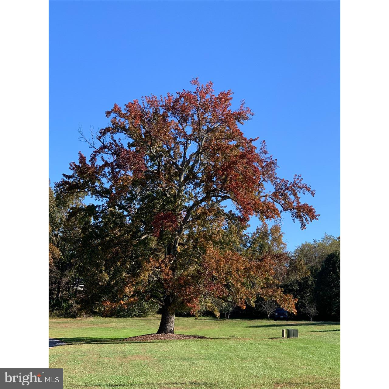 ISLAND CREEK WOODS - Residential