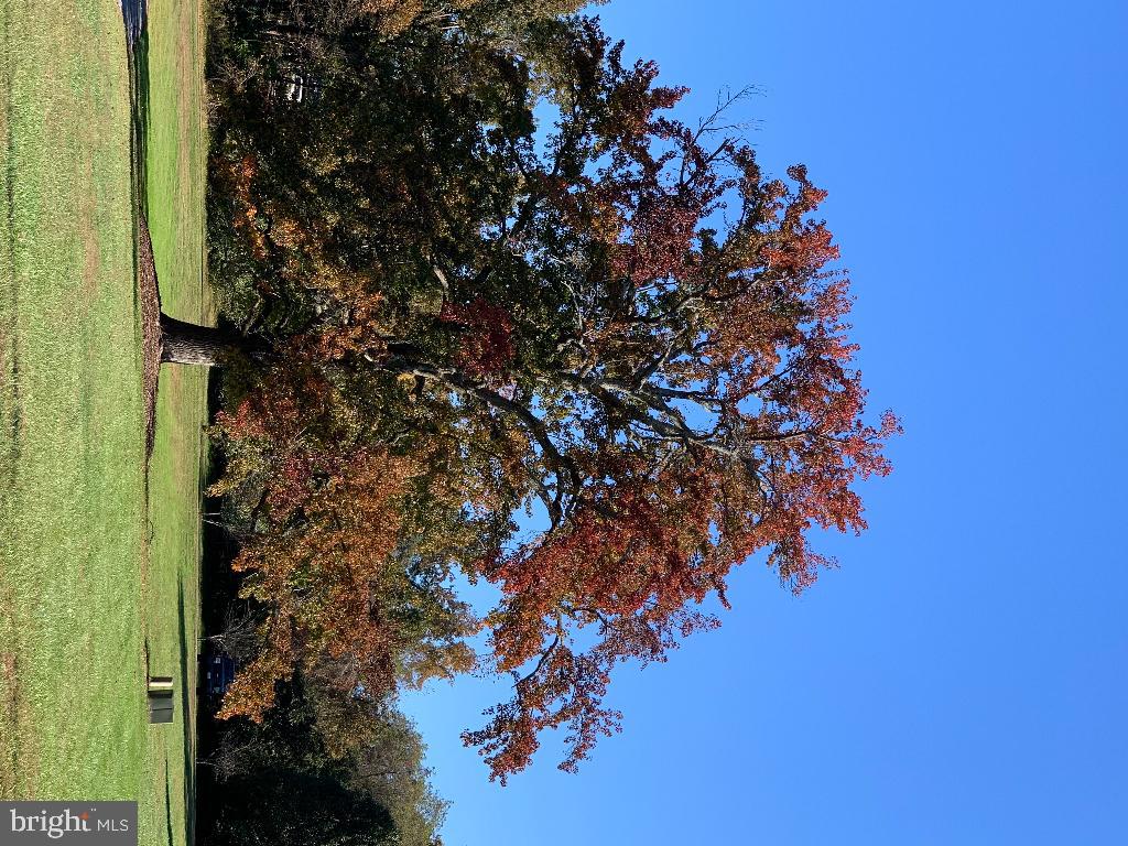 ISLAND CREEK WOODS - Residential