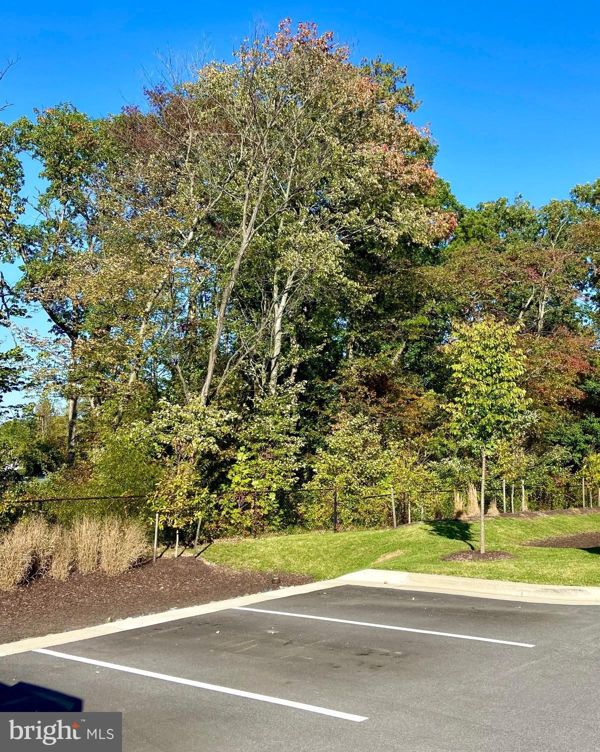 SEVERN MEADOWS - Residential Lease