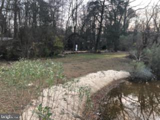 MAGOTHY PARK - Residential