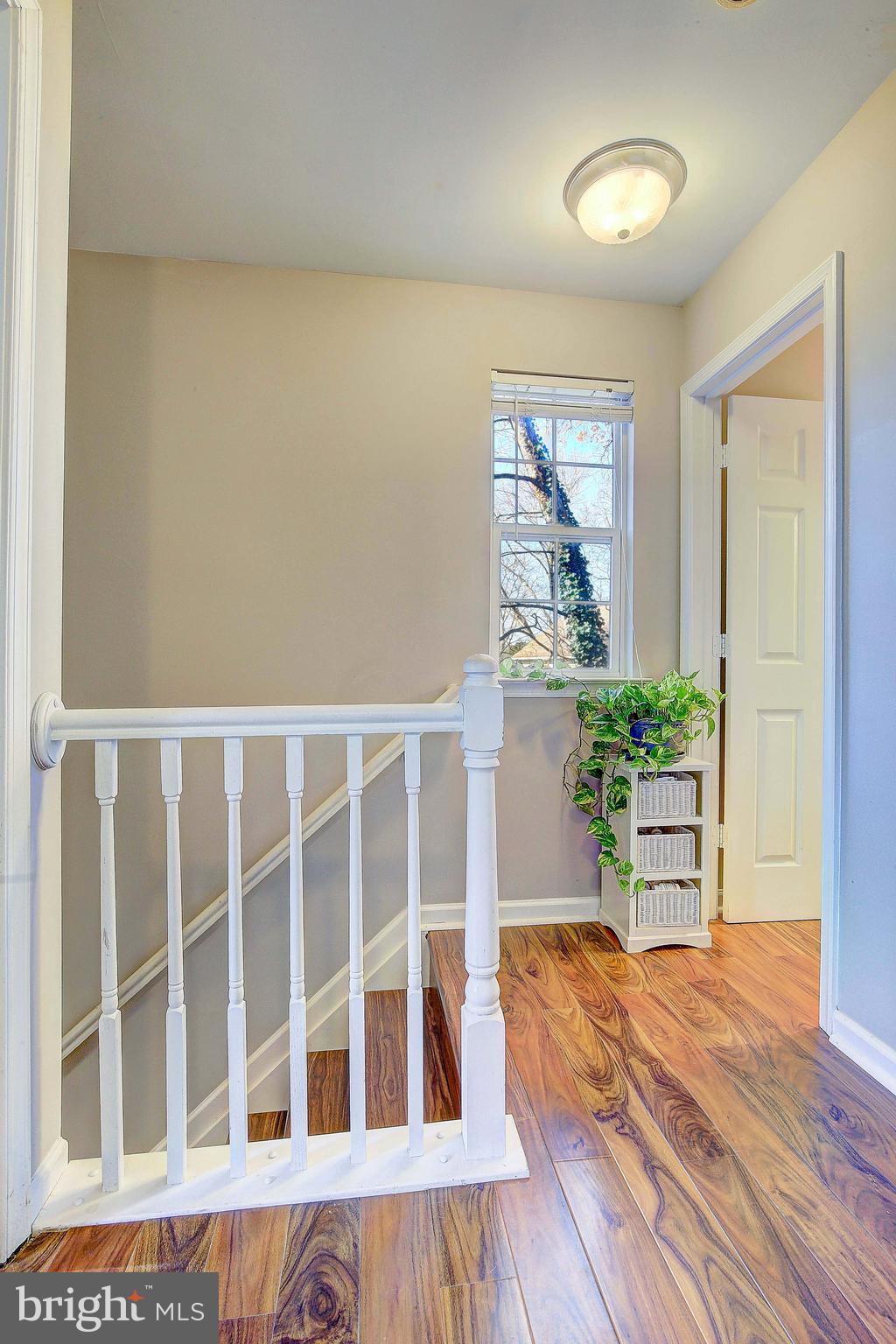 MAGOTHY PARK - Residential