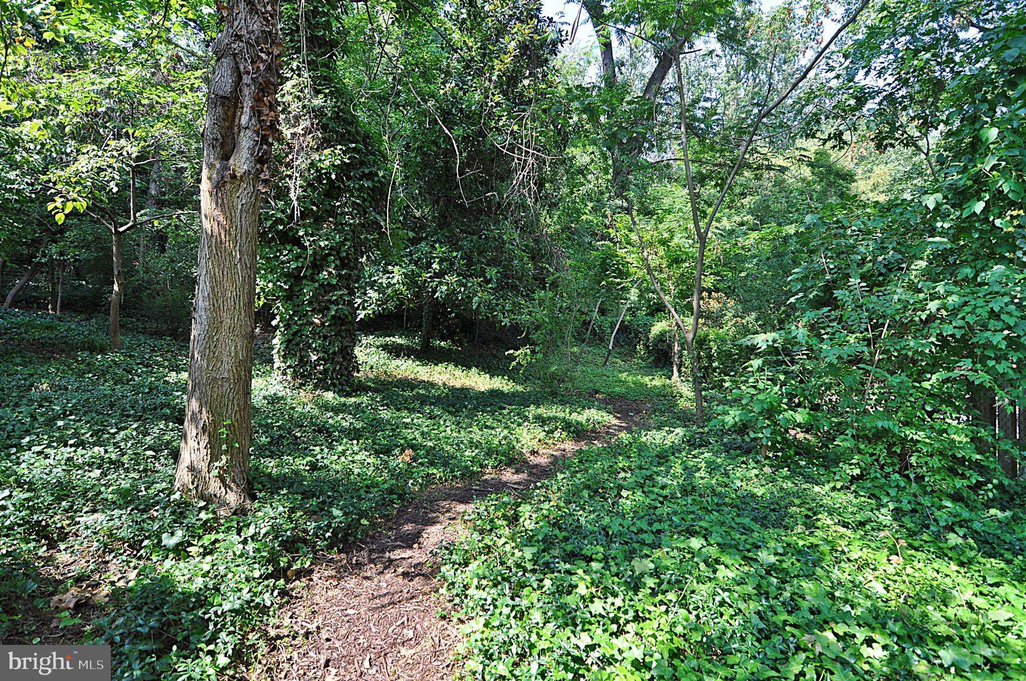 ARLINGTON RIDGE - Residential