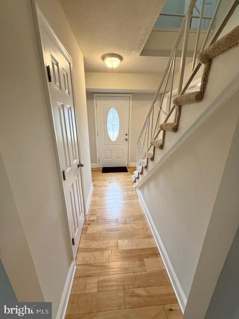 TULIP GROVE AT BELAIR - Residential