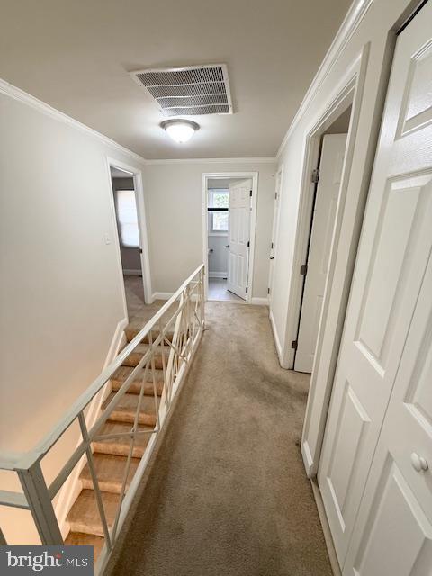 TULIP GROVE AT BELAIR - Residential