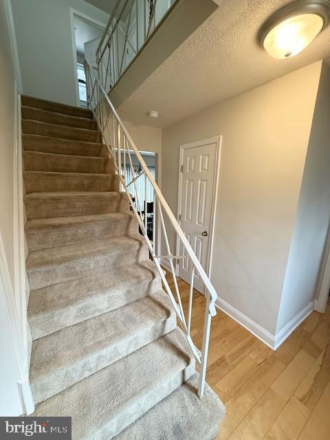 TULIP GROVE AT BELAIR - Residential