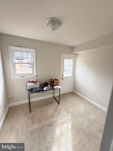 TULIP GROVE AT BELAIR - Residential