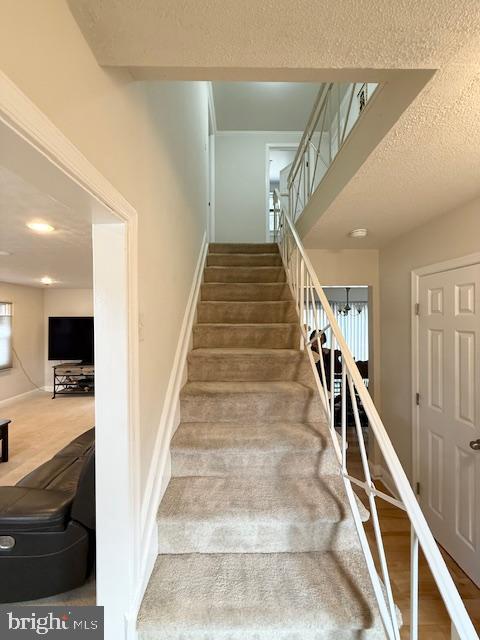 TULIP GROVE AT BELAIR - Residential