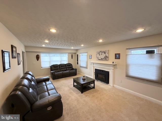 TULIP GROVE AT BELAIR - Residential