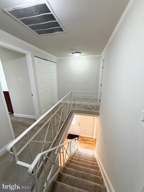 TULIP GROVE AT BELAIR - Residential