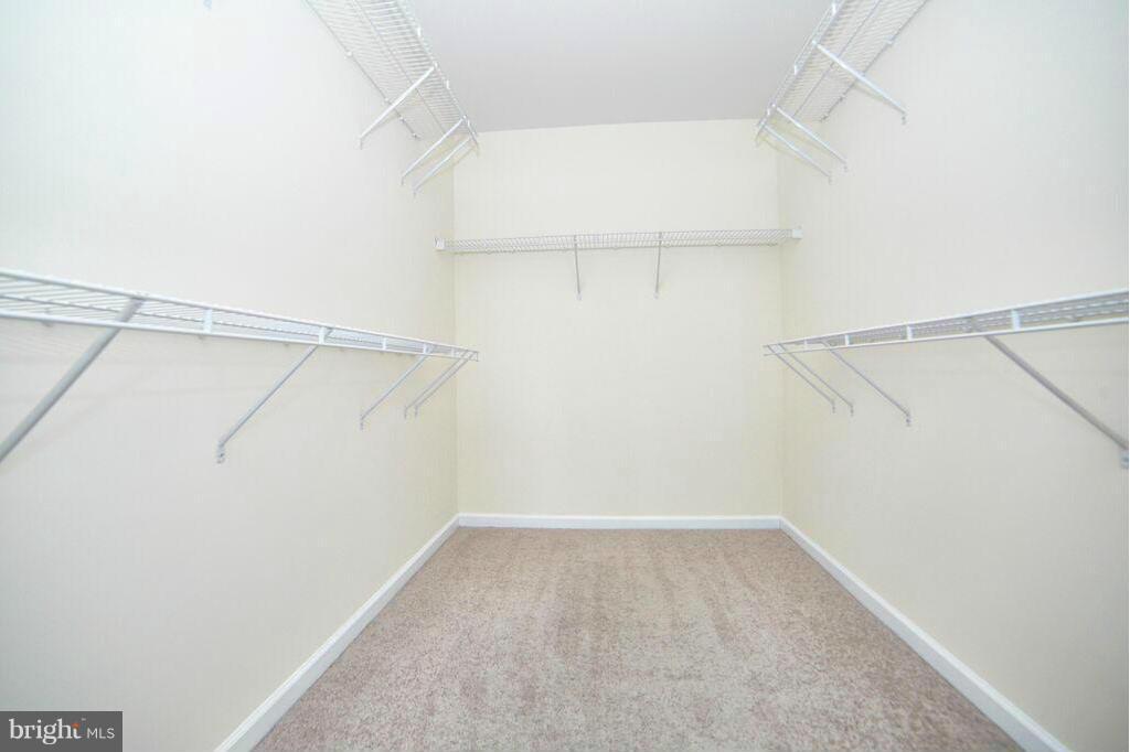 WEXFORD - Residential Lease