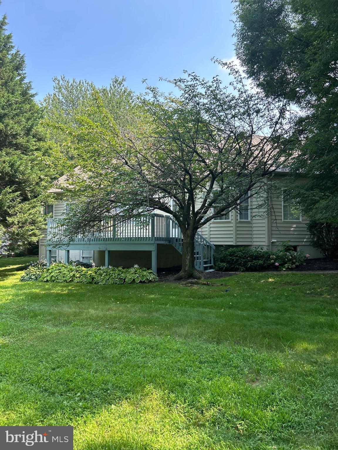 435 PRIMROSE AVENUE