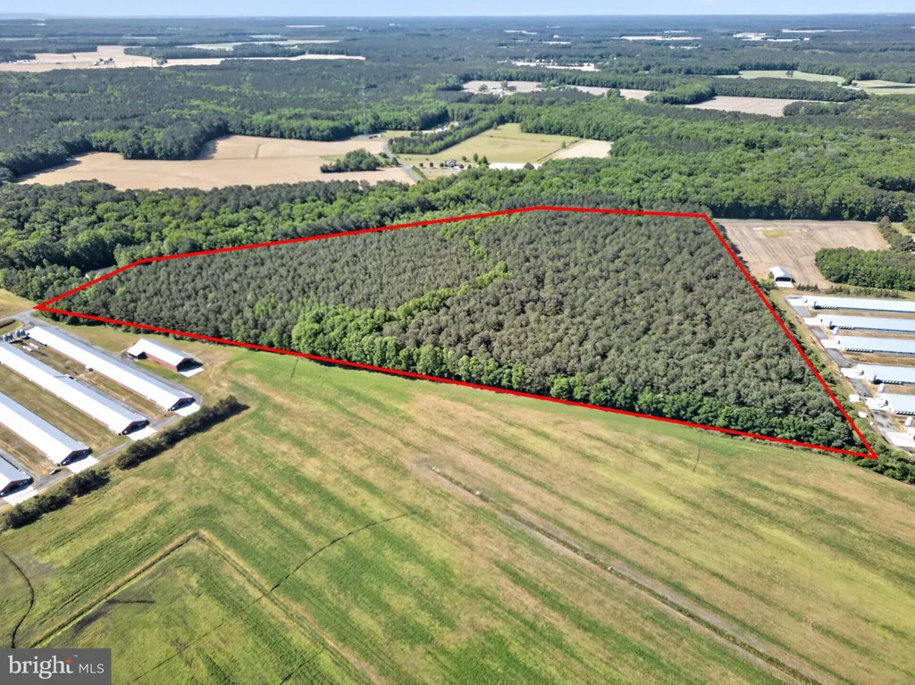 Johnson Neck Road, Pocomoke City, MD 21851