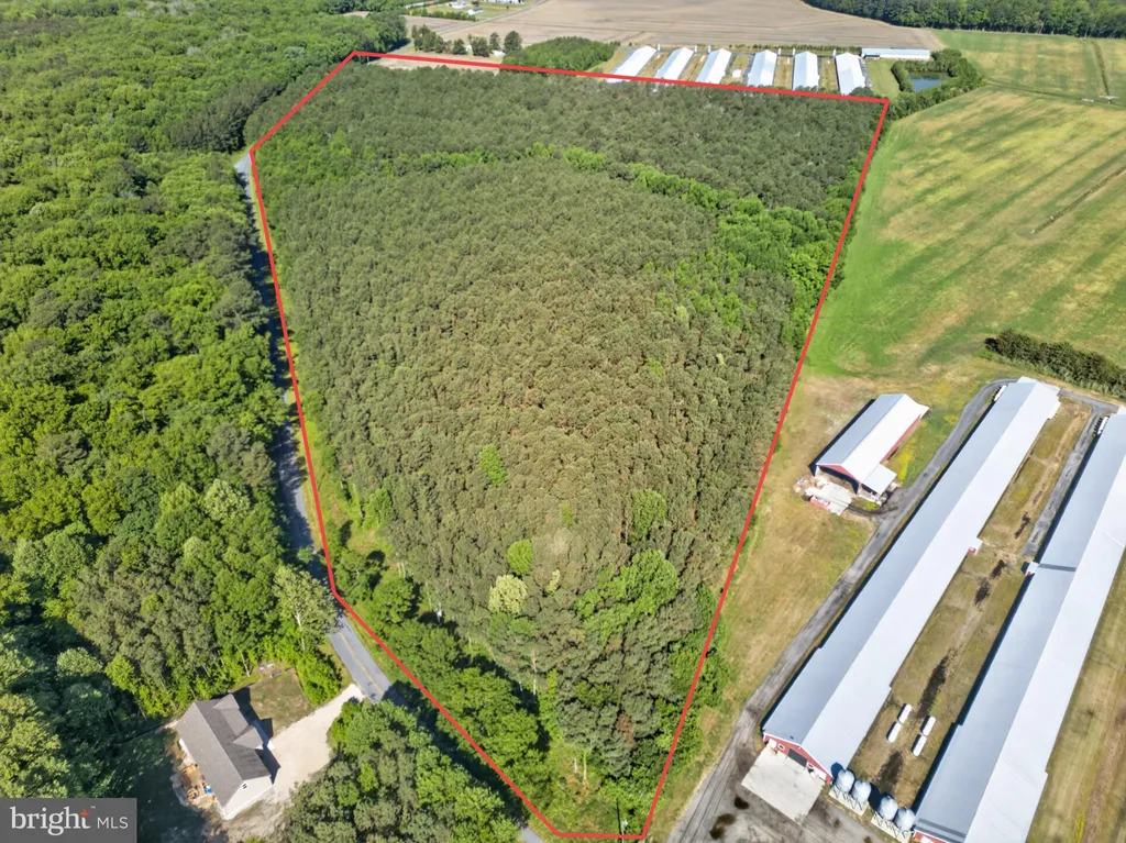 Additional image 9 of Johnson Neck Road, Pocomoke City, MD 21851