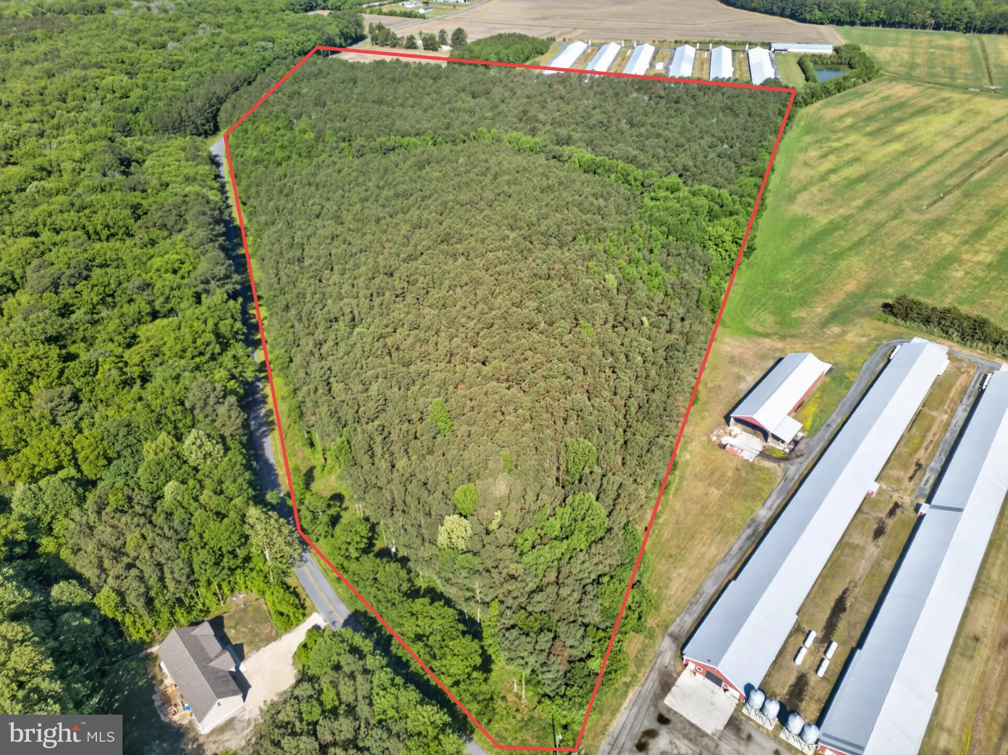 Additional image 10 of Johnson Neck Road, Pocomoke City, MD 21851