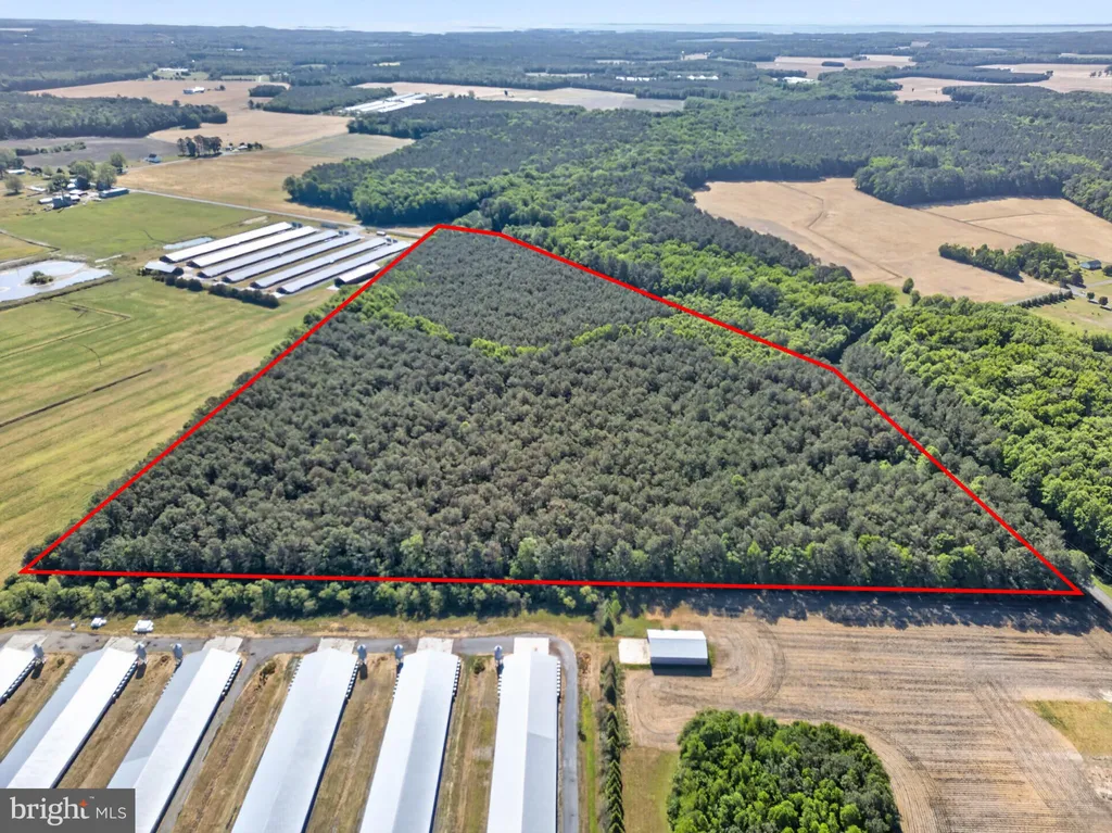 Additional image 7 of Johnson Neck Road, Pocomoke City, MD 21851
