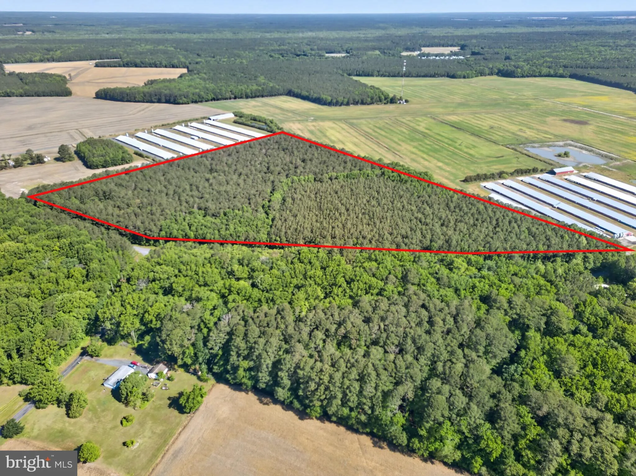 Additional image 12 of Johnson Neck Road, Pocomoke City, MD 21851