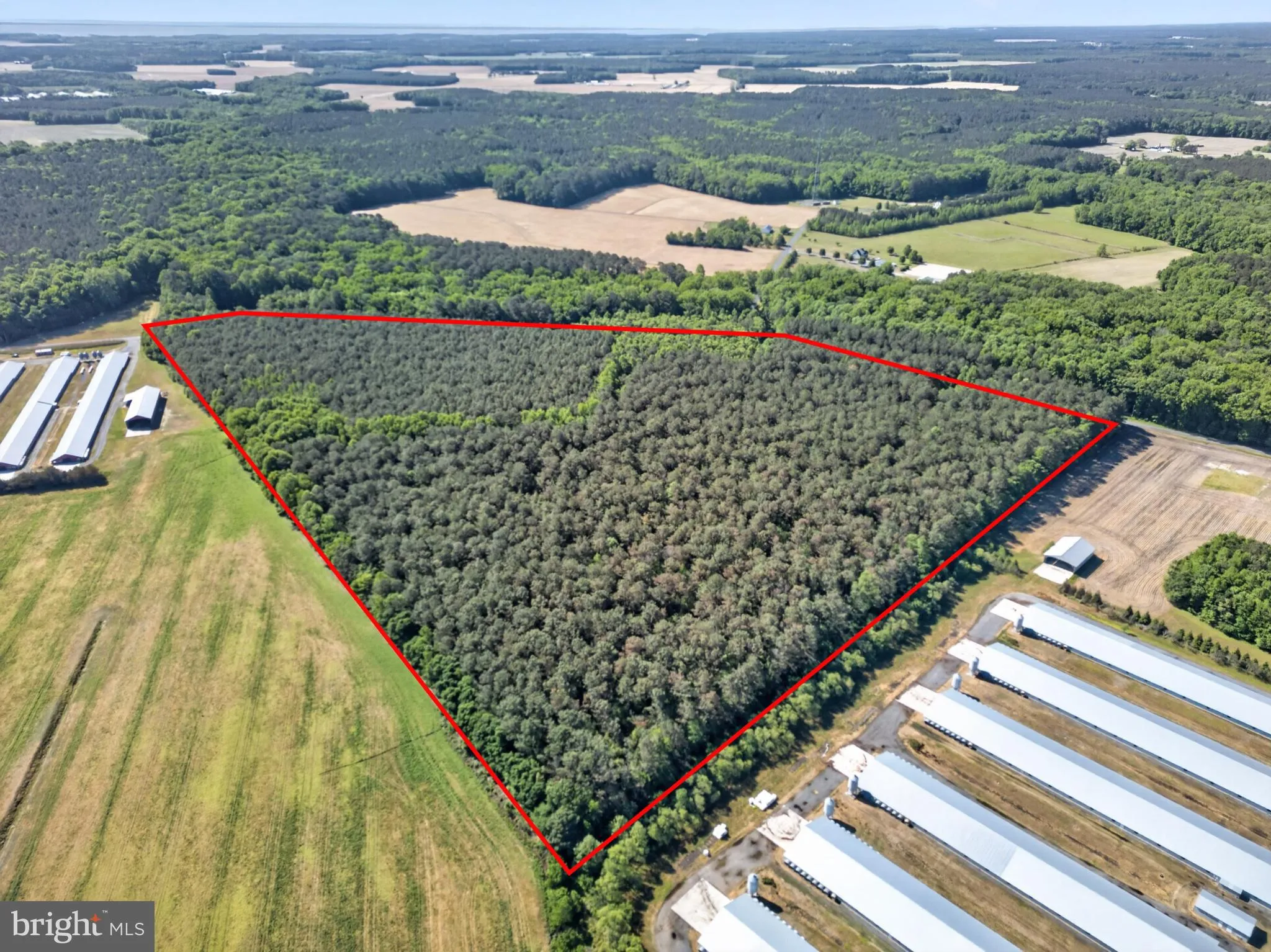 Additional image 17 of Johnson Neck Road, Pocomoke City, MD 21851