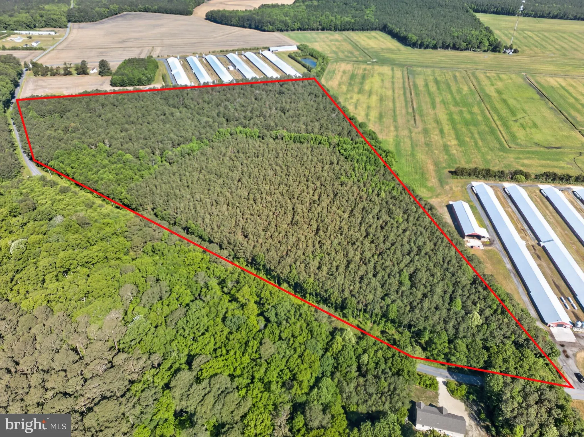 Additional image 11 of Johnson Neck Road, Pocomoke City, MD 21851