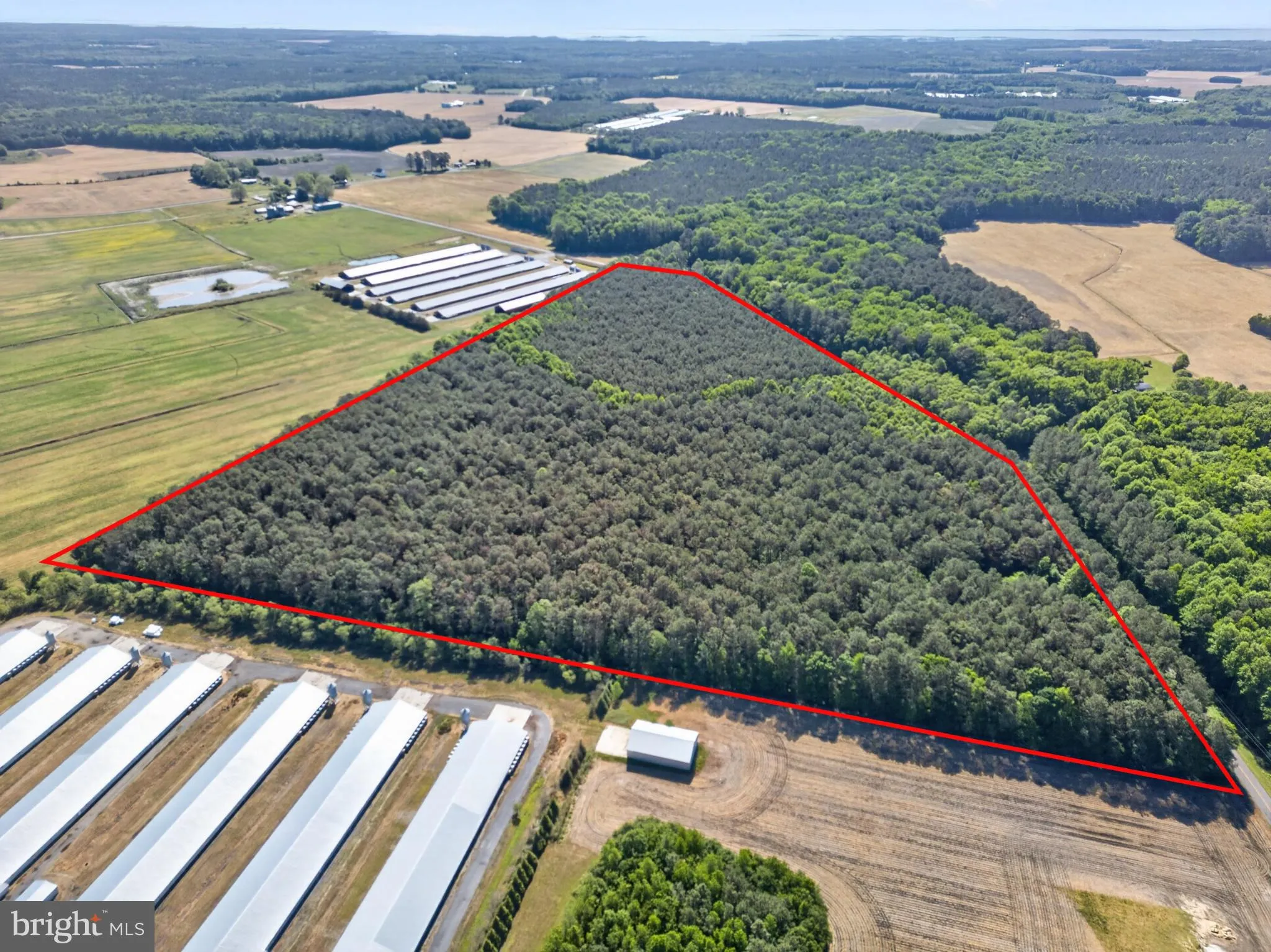 Additional image 15 of Johnson Neck Road, Pocomoke City, MD 21851