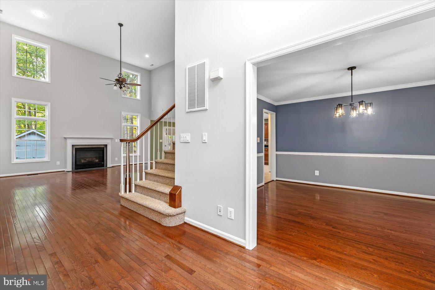 LAKE OF THE WOODS - Residential