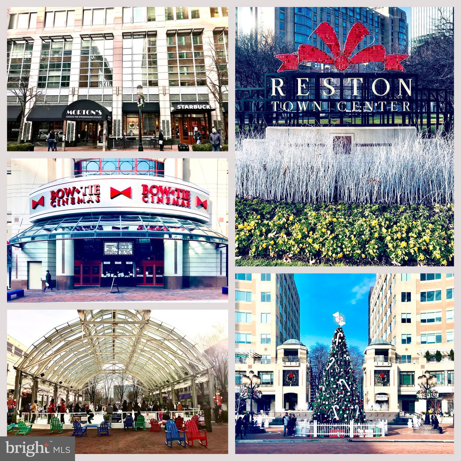 GLENVALE CONDO - Residential Lease