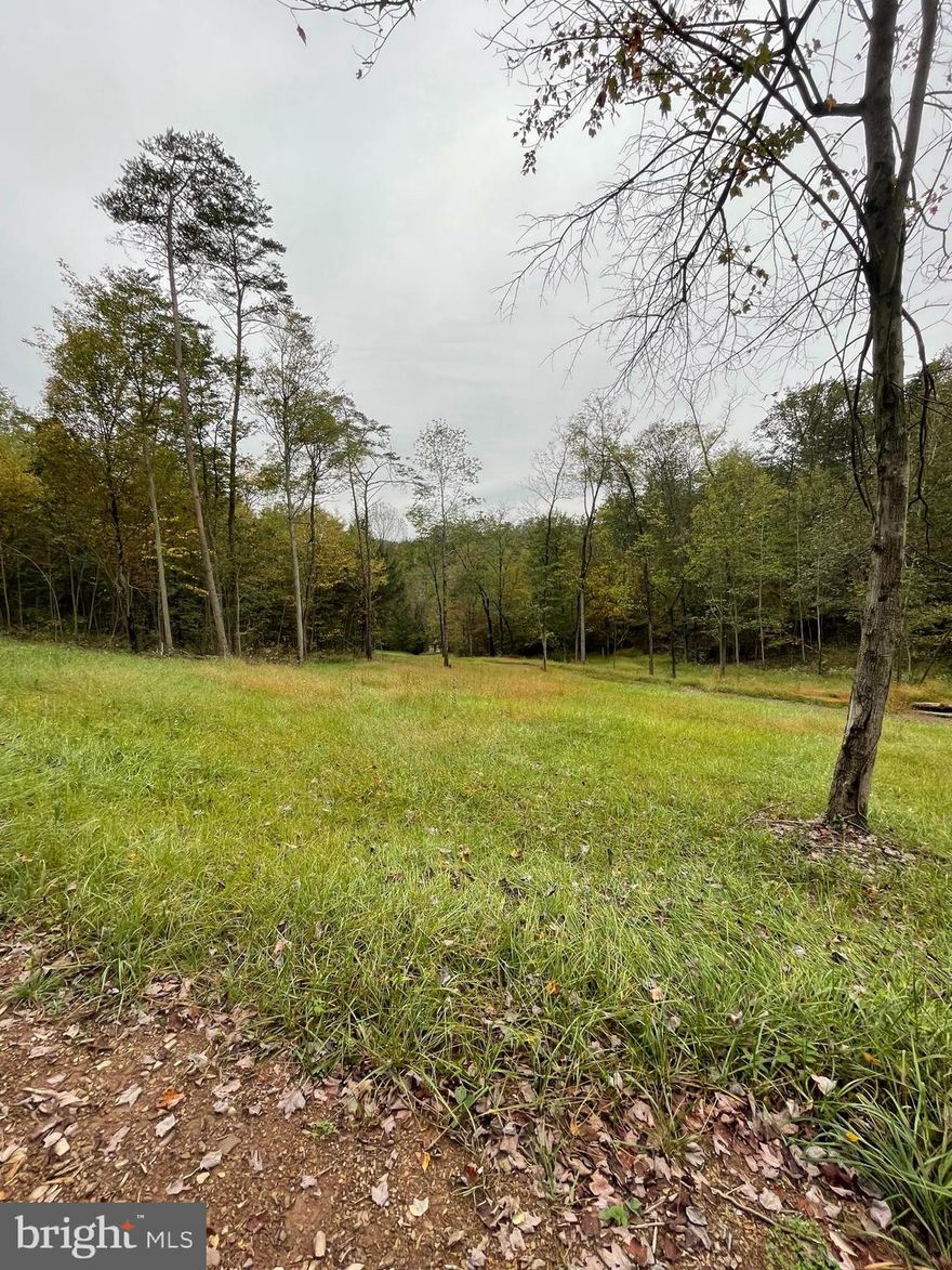 This is a must see hunters or wildlife enthusiast's lot of land. This property is a great opportunity for anyone looking to build, use for hunting or a weekend retreat! This 24.84 parcel of land is mostly wooded with open ground that offers a wide range of options. There are four wheeler trails that traverse the entire property. Seller is willing to work with buyers if they have a request to change the contour of land which include: trails, clearing, removal of soil, adding top soil for leveling and more! The proposed building site (once trees are removed) offers buyer an amazing view of Middleburg and surrounding area.  Must schedule a showing with agent to view property per seller's request (currently used for hunting and recreation) . Don't let this amazing opportunity pass you by schedule a showing today!