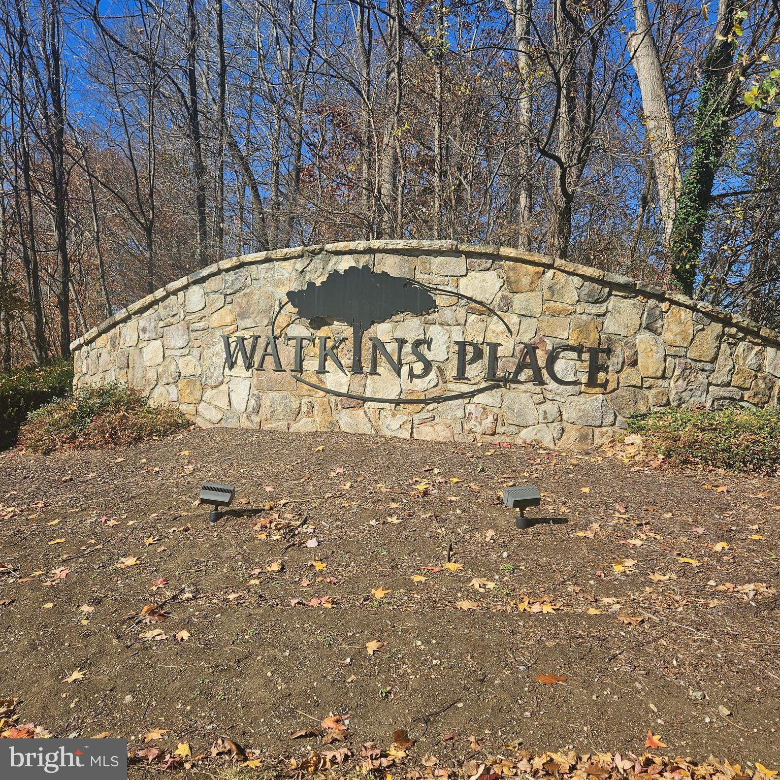 12300 ROLLYS RIDGE AVENUE 1101