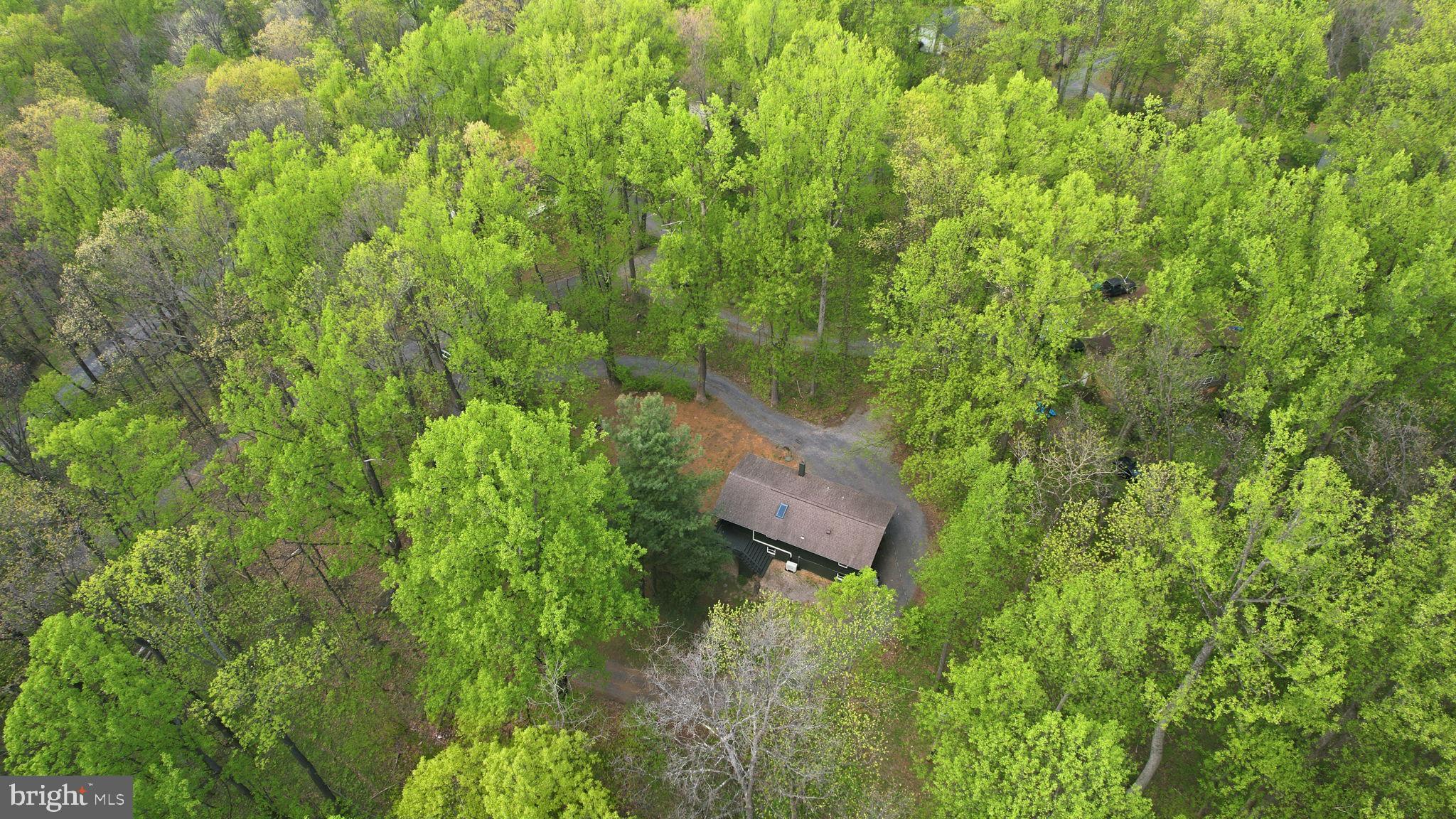 BLUE MOUNTAIN - Residential