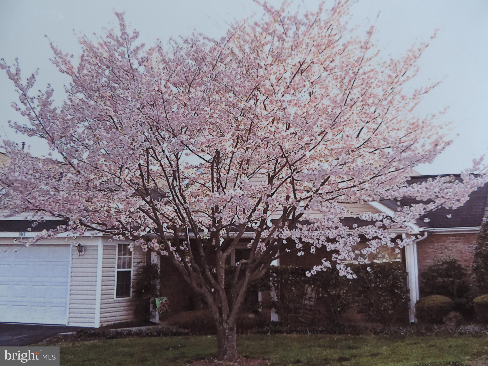 WOODBROOK VILLAGE - Residential