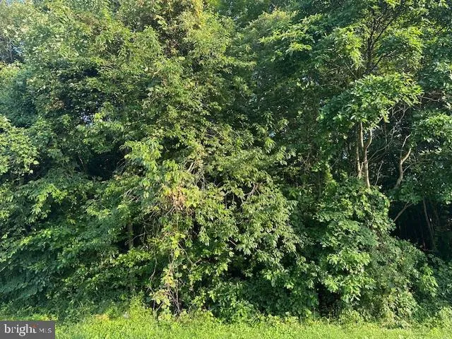 Princess Anne, Maryland 21853, United States, ,Land,Active,175474