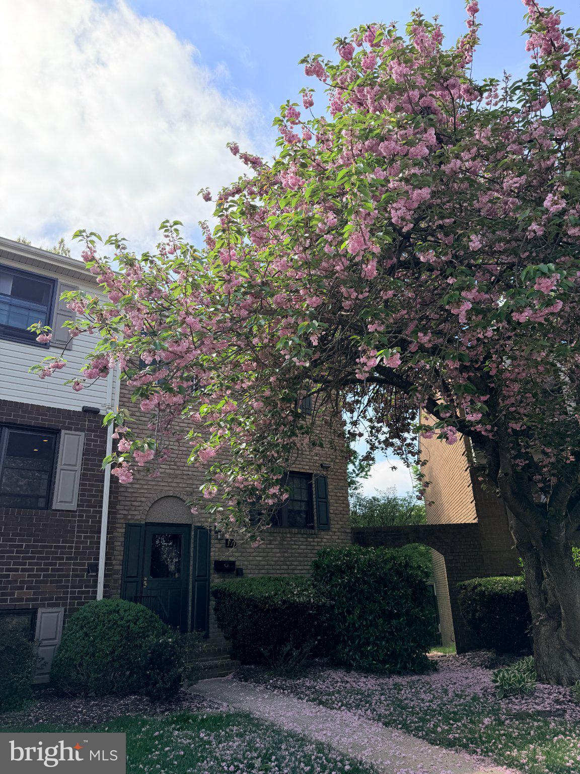 109 SWARTHMORE DRIVE 109