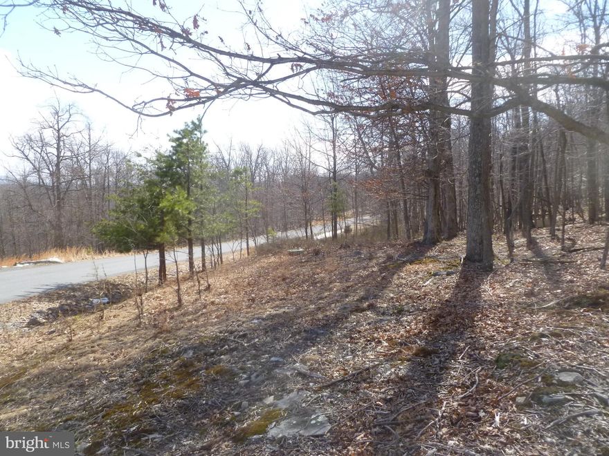 Ideal Spot For Your New Home  – 2.50 wooded acres with a beautiful view!  Located just minutes from Cacapon State Park in Cacapon East Subdivision. Good access with a paved road and underground electric to this lot.  Plus a septic permit for a 3 bedroom home.   This parcel also backs up to Cacapon State Park.    Come see to appreciate the beautiful setting.   GPS will take you to neighbors house at 1637 Parkside Drive.