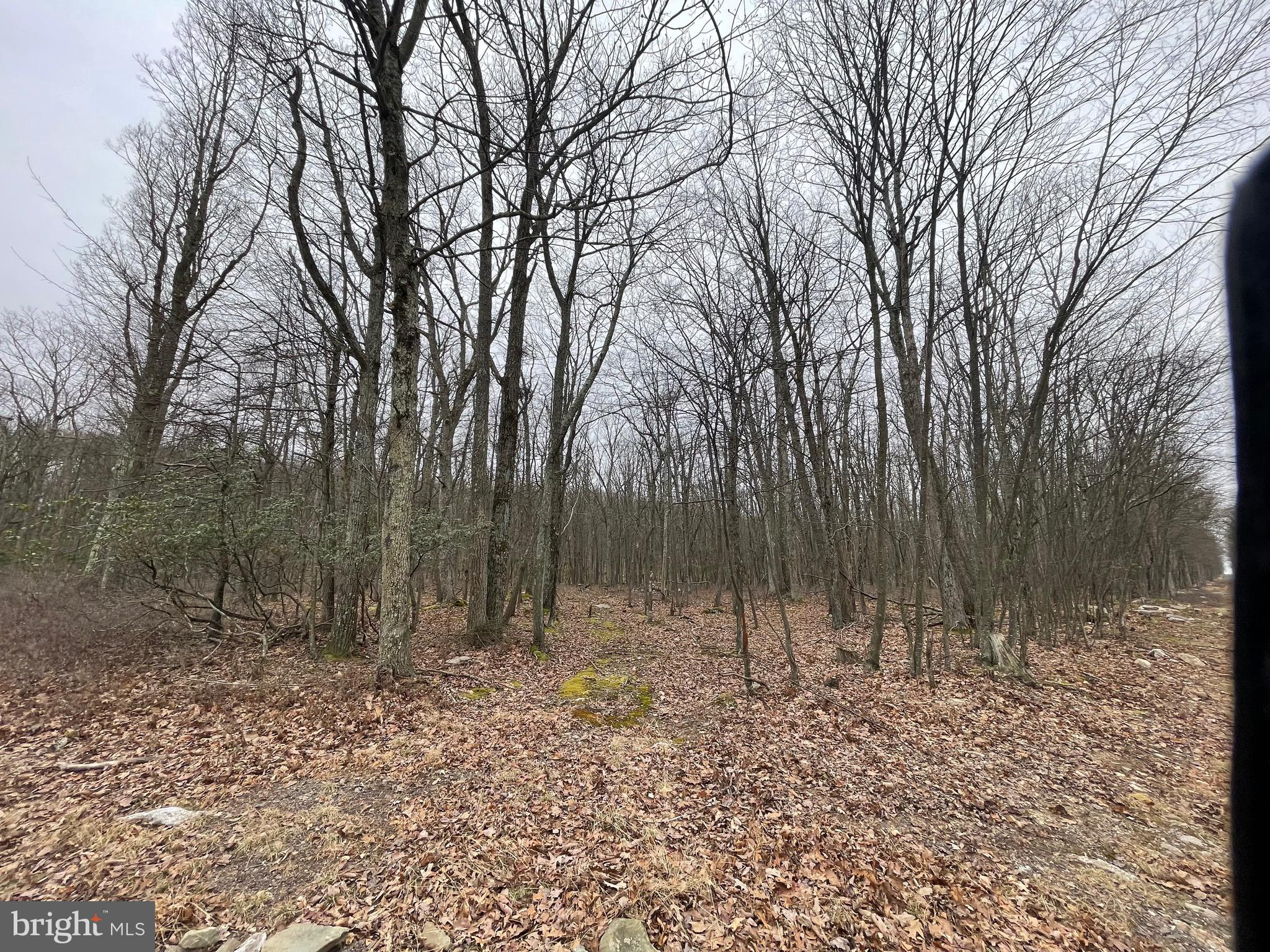 Beautiful corner building lot near the edge of the Cove Village Association. Situated in the foothills of the Poconos and only 1 1/2 hours to New York this could be where you build your getaway or your forever home. Whether you are looking for that home away from home or a location close to everything, look no further. Access to I-81 is less than 15 minutes and your commute to Hazleton, Wilkes Barre, or Scranton is a breeze. Bring your own builder and let's make your dreams come true. The community has public water and sewer ready for you to connect through Aqua of Pa which allows for lower building costs than many other locations. Do you desire a cabin or home where you can hunt, fish, ATV, snowmobile, and more? How does approximately 750 acres of unoccupied prime hunting, ATV, and snowmobile riding land, sound to you? Yes, that's right! Adjoining the residential portion of Cove Village is just that for residents of the community and their guests! Driving through the community, the peace and tranquility will envelop you. The homes vary from rustic cabins, chalets, traditional ranch, two-story homes, exquisite new construction, and even dreamy mountain log homes. There really is something for everyone. The approximately 278 acres of residential homes and lots are occupied by full-time residents, part-time vacation homes, and even some snowbird second homes. Cove Village is located in the mountains of Northeastern Pennsylvania and offers an abundance of amenities including a swimming pool, stocked fishing lake, a basketball court, tennis courts, a volleyball court, 2 playgrounds, a baseball field, ATV paths, hunting, a mini golf course, walking paths, and year-round Community events. I can't forget to mention the beautiful lodge ideal to rent for family gatherings. This lot and community just might be exactly what you've been looking for. Air B and B are not permitted. Camping on vacant lots is not permitted. Mobile homes are not permitted. The minimum square footage when building is 1400 square feet. The community maintains the roads and snow removal. Trash collection is also provided. Lot is part of a large subdivision and acreage is an estimate based on similar lots. Actual acreage will be provided in the legal description at closing. An appointment is required to view due to the gated community. Call to schedule your tour today!