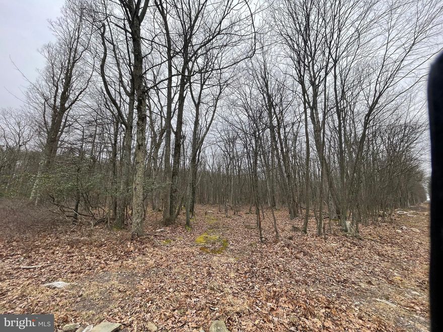 Beautiful corner building lot near the edge of the Cove Village Association.  Situated in the foothills of the Poconos and only 1 1/2 hours to New York this could be where you build your getaway or your forever home.  Whether you are looking for that home away from home or a location close to everything, look no further.  Access to I-81 is less than 15 minutes and your commute to Hazleton, Wilkes Barre, or Scranton is a breeze.   Bring your own builder and let's make your dreams come true.  The community has public water and sewer ready for you to connect through Aqua of Pa which allows for lower building costs than many other locations.  Do you desire a cabin or home where you can hunt, fish, ATV, snowmobile, and more?  How does approximately 750 acres of unoccupied prime hunting, ATV, and snowmobile riding land, sound to you?  Yes, that's right!  Adjoining the residential portion of Cove Village is just that for residents of the community and their guests!  Driving through the community, the peace and tranquility will envelop you.  The homes vary from rustic cabins, chalets, traditional ranch, two-story homes, exquisite new construction, and even dreamy mountain log homes.  There really is something for everyone.  The approximately 278 acres of residential homes and lots are occupied by full-time residents, part-time vacation homes, and even some snowbird second homes.  Cove Village is located in the mountains of Northeastern Pennsylvania and offers an abundance of amenities including a swimming pool, stocked fishing lake, a basketball court, tennis courts, a volleyball court, 2 playgrounds, a baseball field, ATV paths, hunting, a mini golf course, walking paths, and year-round Community events.  I can't forget to mention the beautiful lodge ideal to rent for family gatherings.   This lot and community just might be exactly what you've been looking for.  Air B and B are not permitted. Camping on vacant lots is not permitted.  Mobile homes are not permitted.  The minimum square footage when building is 1400 square feet.  The community maintains the roads and snow removal.  Trash collection is also provided.   Lot is part of a large subdivision and acreage is an estimate based on similar lots.  Actual acreage will be provided in the legal description at closing.  An appointment is required to view due to the gated community.  Call to schedule your tour today!