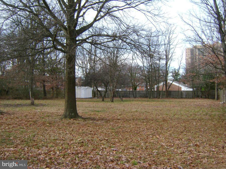 WASHINGTON FOREST - Residential