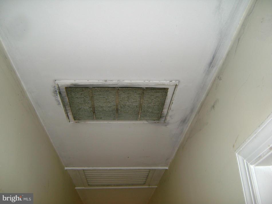 WASHINGTON FOREST - Residential