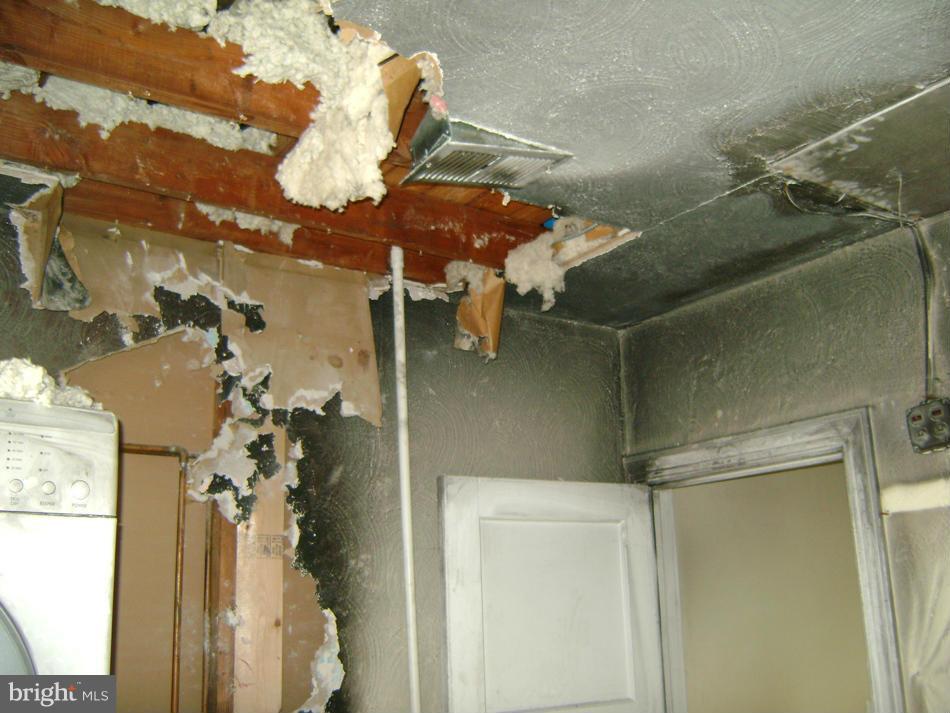 WASHINGTON FOREST - Residential