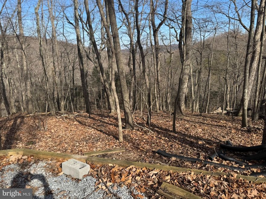 These lots make up over an acre of beautiful Harpers Ferry land. If you're looking to build your dream home away from the hustle and bustle while still being close to amenities this is the location for you. The lot is mostly level and currently wooded. You can clear some of the land and still maintain your private getaway. Your lot features beautiful mountain views. Subject to septic permits for each, you could have two building lots. Call for more information today!