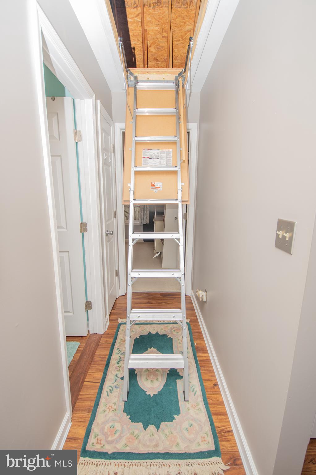 HAYMAN LANDS - Residential