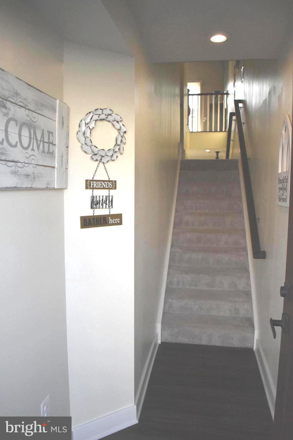 LAKE FREDERICK - Residential