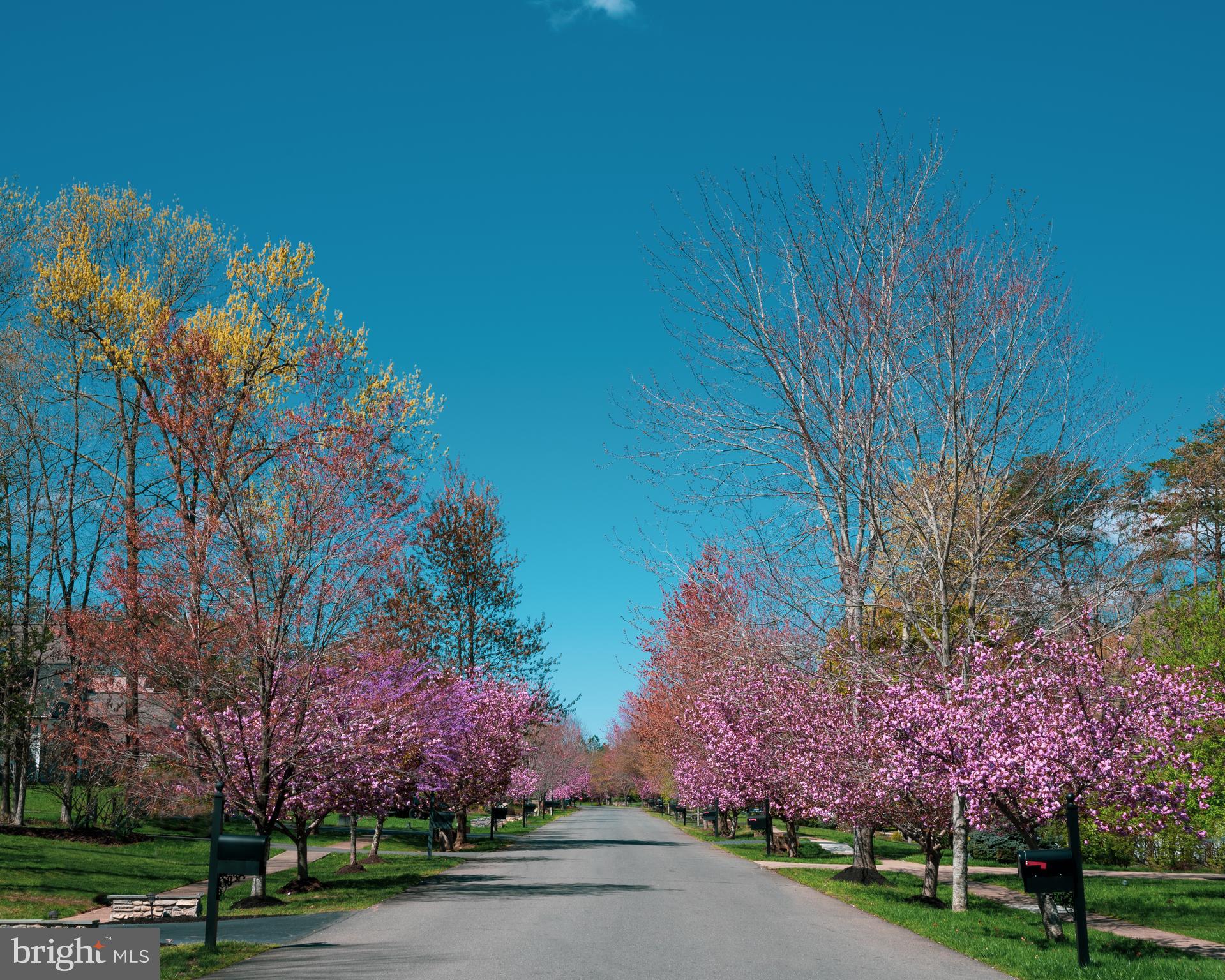 FAWN LAKE - Residential
