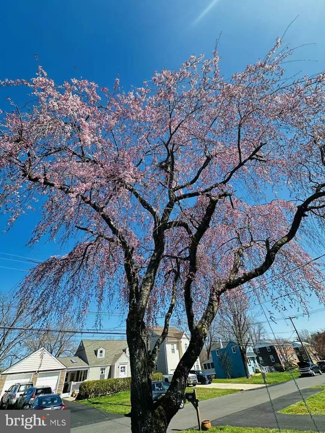 HUNTINGDON VALLEY - Residential