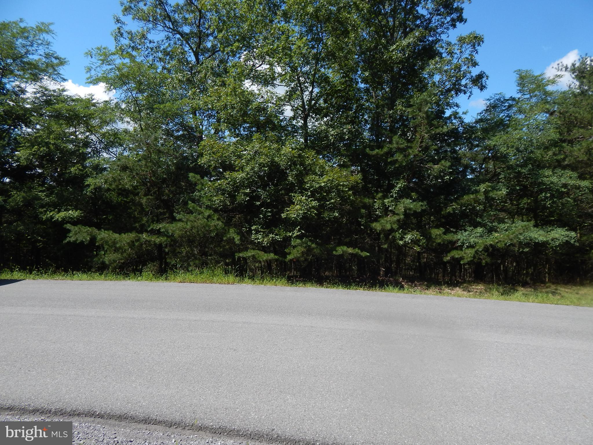 CACAPON SOUTH - Land