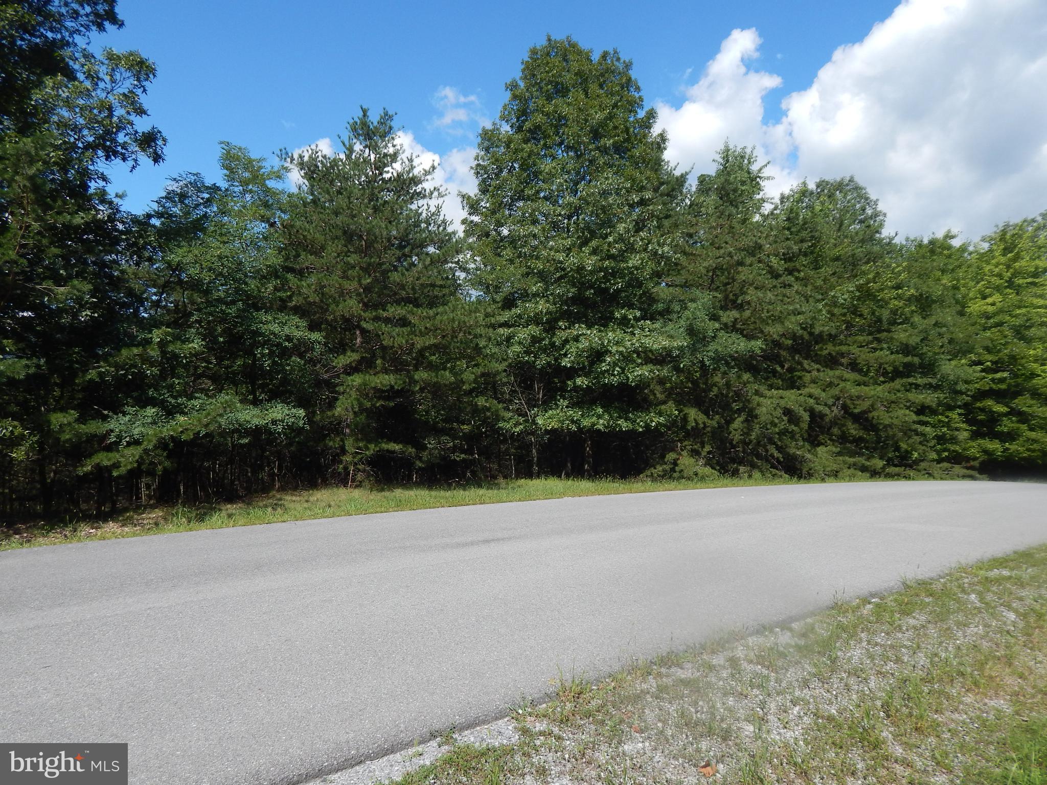 CACAPON SOUTH - Land