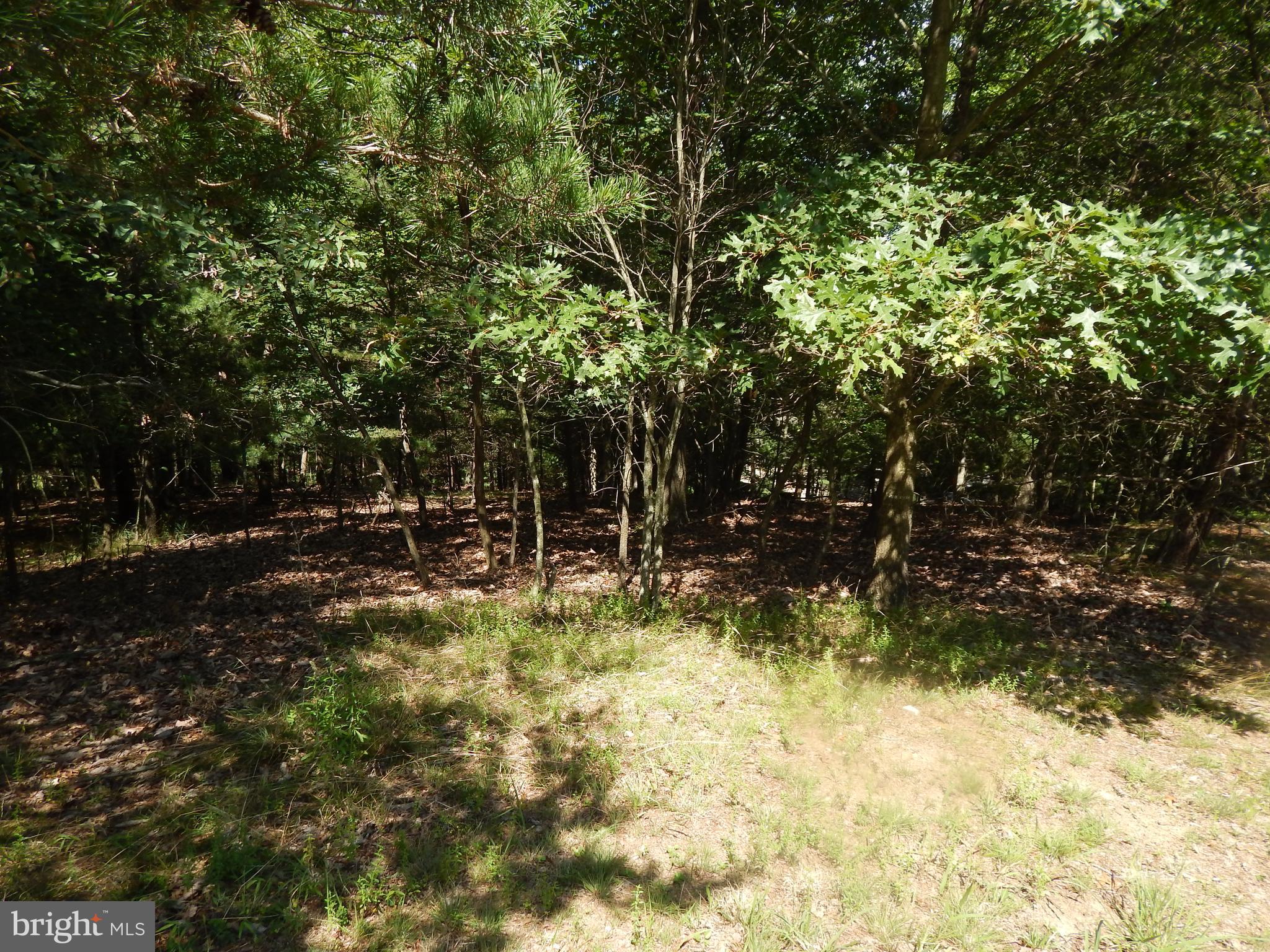 CACAPON SOUTH - Land