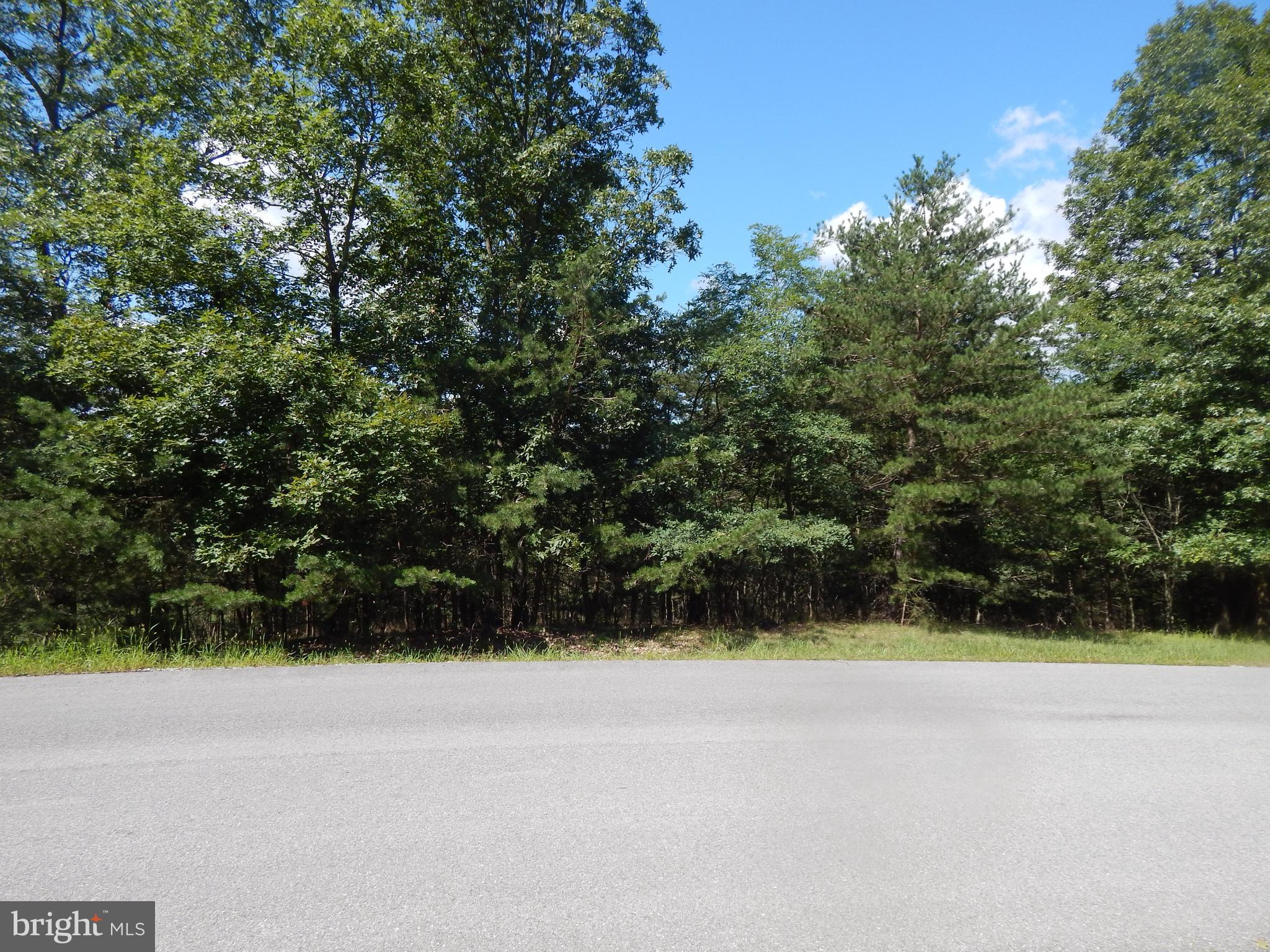 CACAPON SOUTH - Land